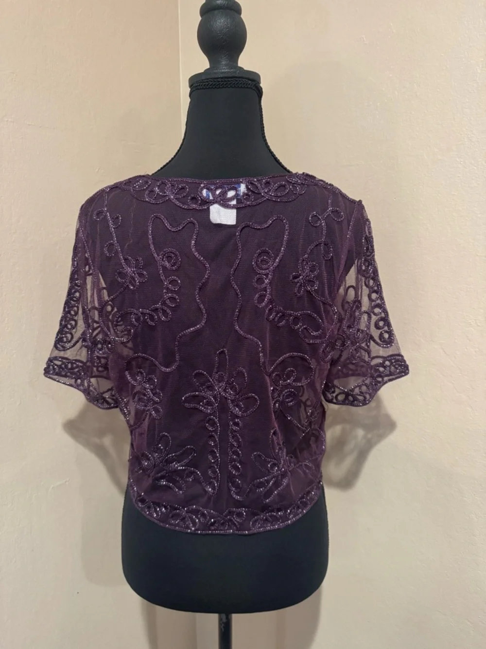 Plum Embroidered Beaded Mesh Bolero with Beadwork, Silver Threading and Sequins - Picture 4 of 8